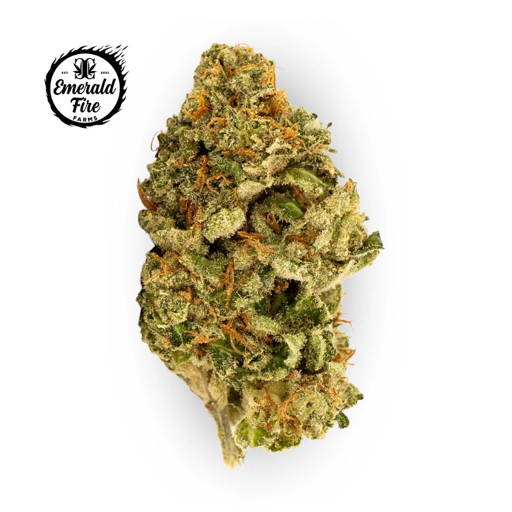 EMERALD FIRE (OK) - White Widow Bulk Flower - EMERALD FIRE Main Image