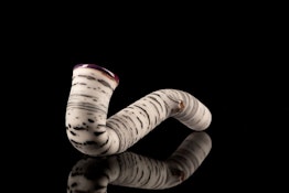 Minute Pipe | White Birch with Colored Accent (Lip Wrap)