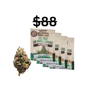 Hogwash - Whitethorn Rose BUNDLE | 4x 3.5g Outdoor Flower | Hogwash Pharms