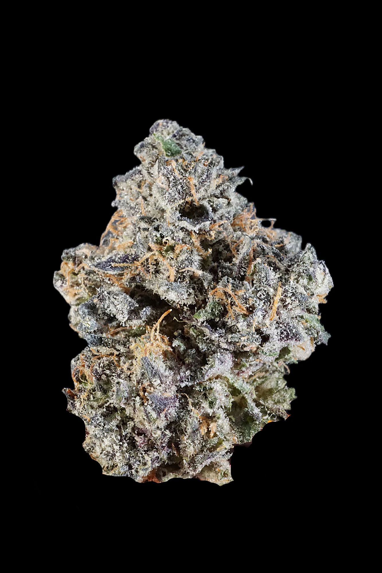 Chronicseur Farms - Why U Gelly: Bulk flower Indica Hybrid Main Image