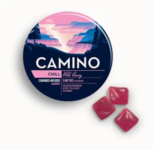 CAMINO - Camino-Wild Berry-Chill-High Dose-20 Gummies-200mg