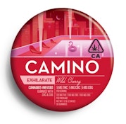 Camino Wild Cherry CBC CBG Gummies