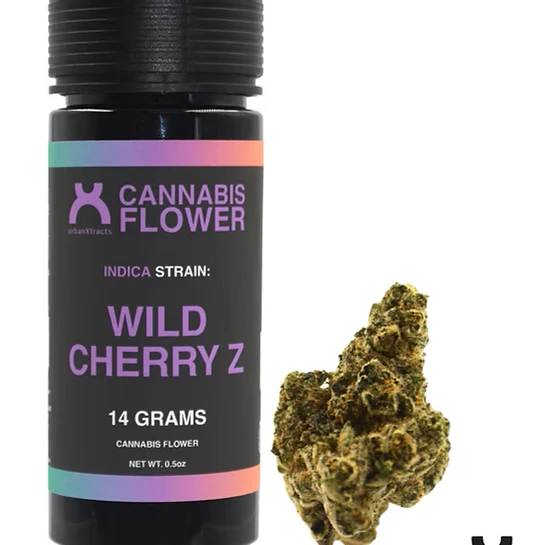 urbanXtracts - urbanXtracts | Wild Cherry Z | 14g Main Image