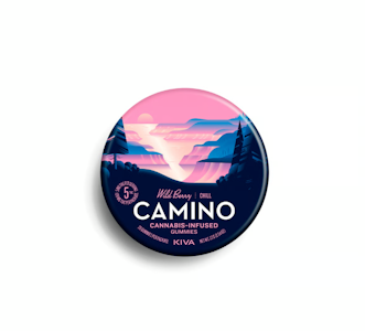 CAMINO - Wild Berry Gummy 20pk - 100mg