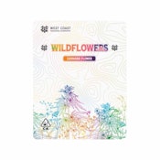 Galactic Runtz Wildflowers 3.5g