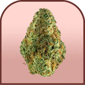 Wilfunk | Pre-packaged 3.5g