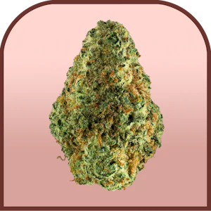 Unbound - Wilfunk | Pre-packaged 3.5g