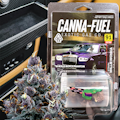 Canna Fuel - Willie Wonkaz Indoor Flower 3.5g Find Golden Ticket for chance to win a iphone!