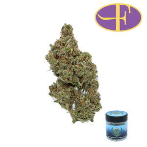 Willow Creekside - Purple Tangie