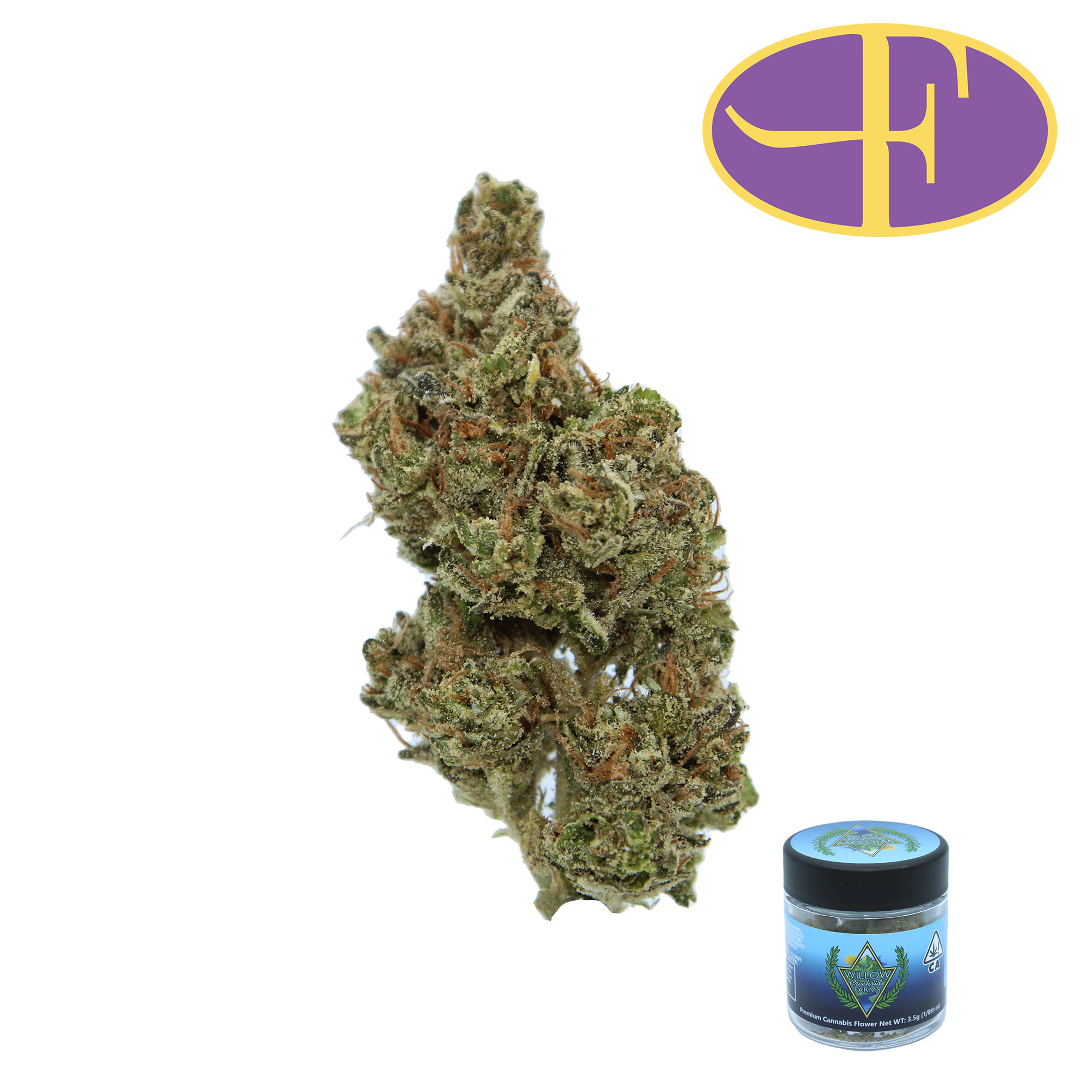 Willow Creekside - Purple Tangie Main Image