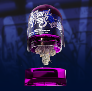 WIZARD TREES - Wizard Trees 3.5G New Yorker Premium Indoor Flower