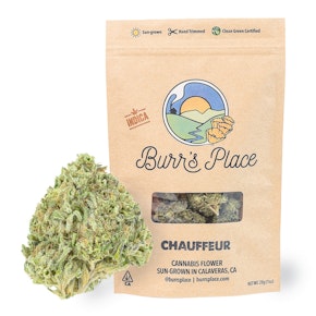 Next Day - Chauffeur (Eighth)