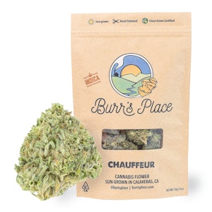 BURR'S PLACE - Chauffeur (Eighth)