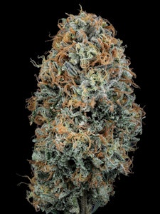 WoodWide - Wood Wide - Flower - Dutch Treat - 3.5g