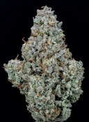 Wood Wide - Flower - Grumpy Tiger - 3.5g