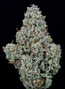 WoodWide - Wood Wide - Flower - Grumpy Tiger - 3.5g