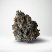 Wood Wide - Flower - Sour Tangie - 3.5g