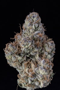 WoodWide - Wood Wide - Flower - Purple Creamsicle - 3.5g
