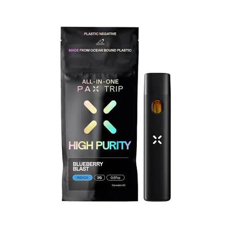 Workhorse Global - Workhorse - Pax AIO - Blueberry Blast - 2g Main Image