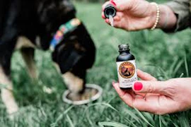 Twelve Paws - Tincture - Salmon - 1mg