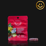 WYLD ONES | Strawberry Lemonade Gummy 100mg THC | single
