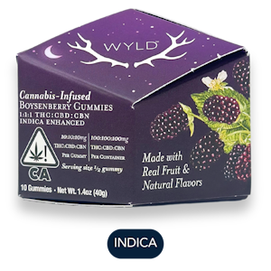 WYLD - Wyld - Boysenberry 1:1:1  - Gummies - 10pk - 100mg