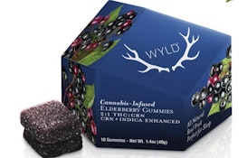 Wyld - Elderberry 2:1 THC:CBN - Indica Enhanced Gummies - 100mg