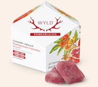 Pomegranate Gummies 10pk