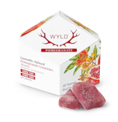 WYLD Pomegranate Gummies 1:1 THC:CBD - 100MG