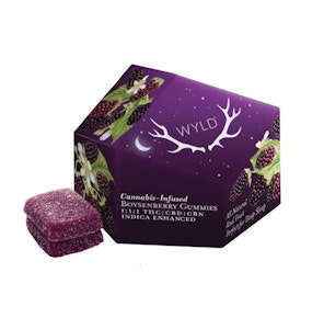 WYLD - WYLD Boysenberry 1:1:1 THC:CBD:CBN Gummies