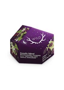 WYLD - WYLD | BOYSENBERRY 1:1:1 THC/CBD/CBN - 10PK | EDIBLE
