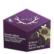 Boysenberry Gummies  1:1:1 (THC:CBD:CBN) - 100mg - Wyld