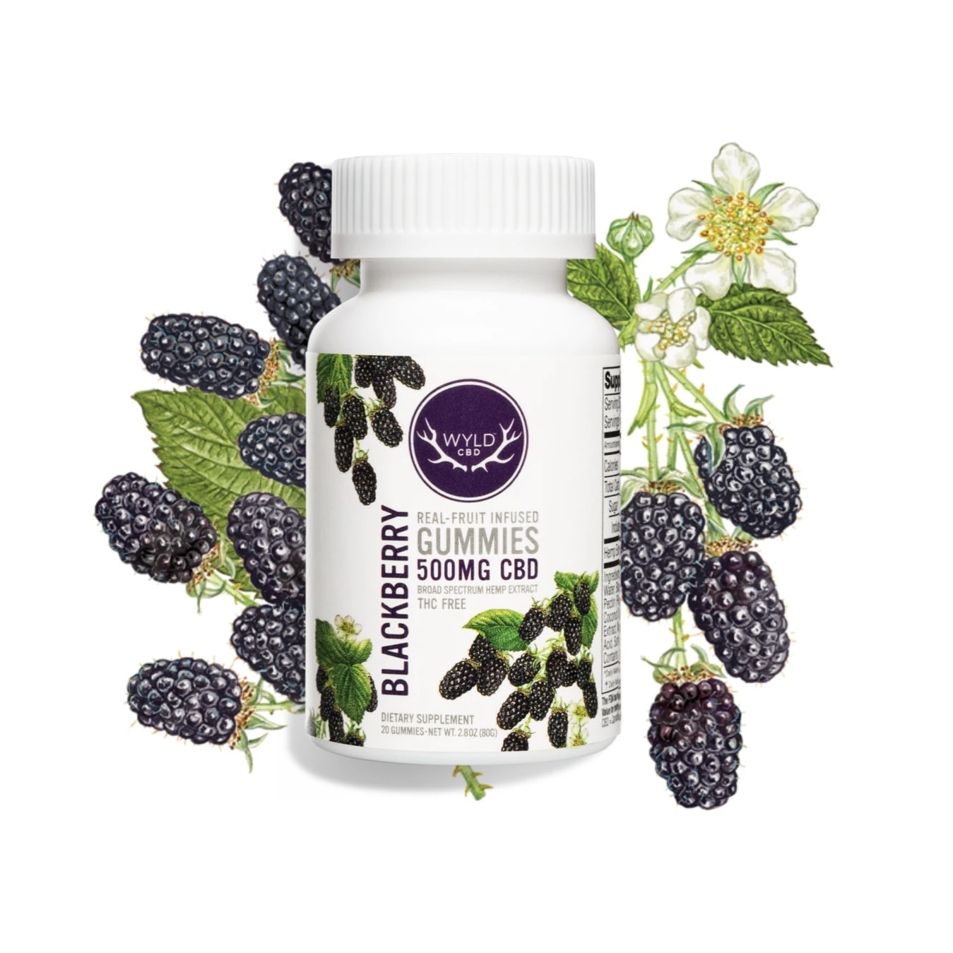 WYLD - Wyld HEMP Blackberry 500mg CBD 20pk Main Image