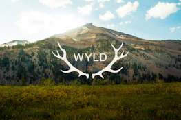 Wyld | Kiwi Gummy - 100mg THC/100mg THCv