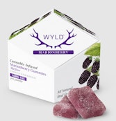 [WYLD] THC GUMMIES - 100MG - MARIONBERRY (I)