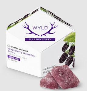 WYLD - [WYLD] THC Gummies - 100mg - Marionberry (I)