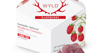 WYLD | RASPBERRY - 10PK | EDIBLE | 100MG