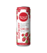 Wyld | CBD Sparkling Water | Raspberry