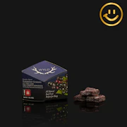 WYLD | Elderberry 2:1 THC+CBN Gummies | 10pcs
