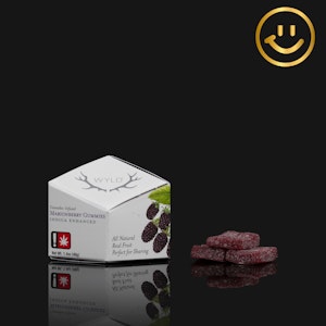 WYLD - WYLD | Marionberry 100mg THC Gummies | 10pcs