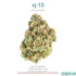 Product Preview Image 1