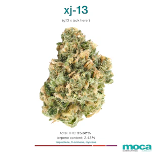 MOCA Flowers - MOCA Flowers - Smalls 1/4 Bag - XJ-13