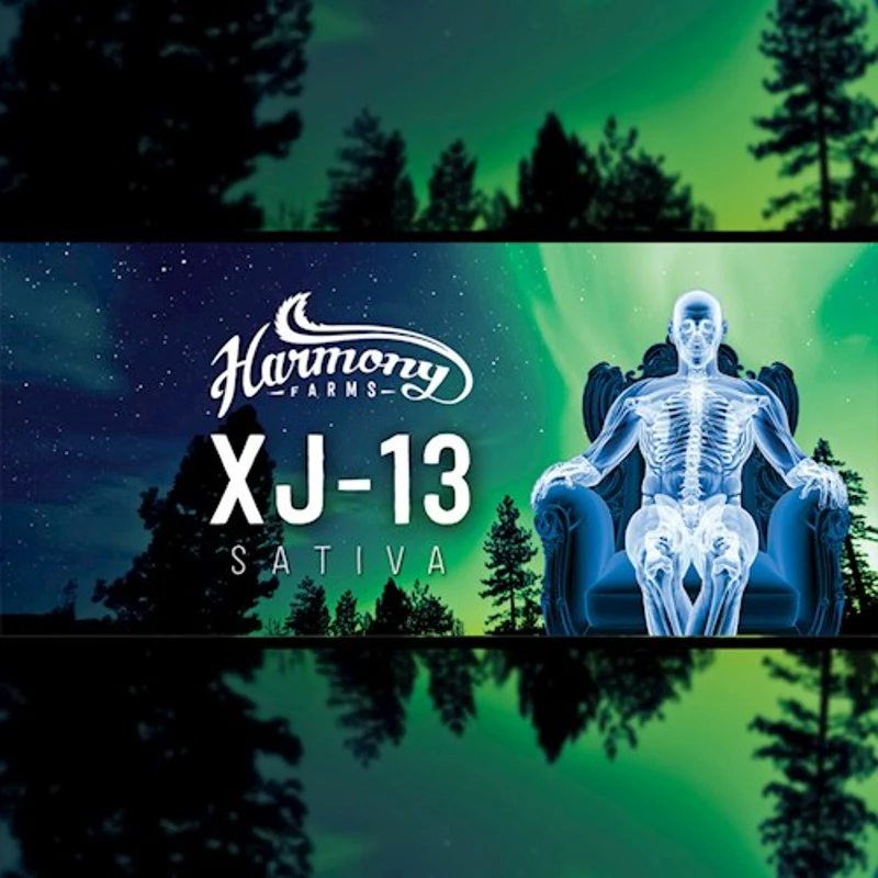 Harmony - Flower - XJ-13 - 3.5g - Sativa Main Image