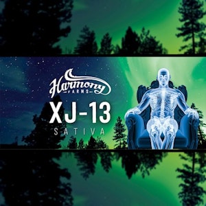 Harmony - XJ-13 - Flower - Harmony - 14g 
