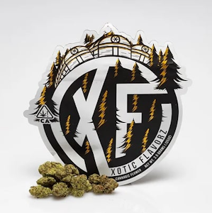 XOTIC FLAVORZ - XOTIC FLAVORZ | DOUBLE HAZE | FLOWER | 3.5G