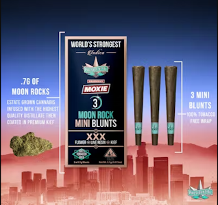PRESIDENTIAL - Presidential Infused 3pk Blunts 2.1g XXX