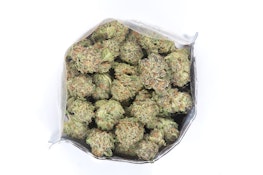 Madrone | Xenon | Smalls | 14g