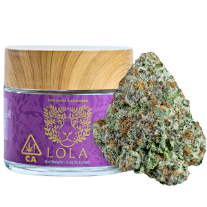 LOLA LOLA - Xolo - Jarred (Eighth)