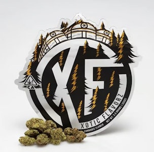 XOTIC FLAVORZ - Xotic Flavorz 3.5g Double Haze