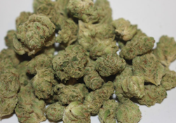 * GET 20 GRAMS GG4 -$ 70--(2X 10G YADA YADA GG4 SMALLS)-SIMPLY PRE-ORDER 3-7 HRS IN ADVANCE-CANNOT COMBINE % DISCOUNTS